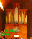 organ.jpg