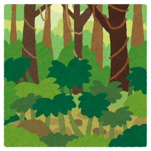 mori_jungle.png