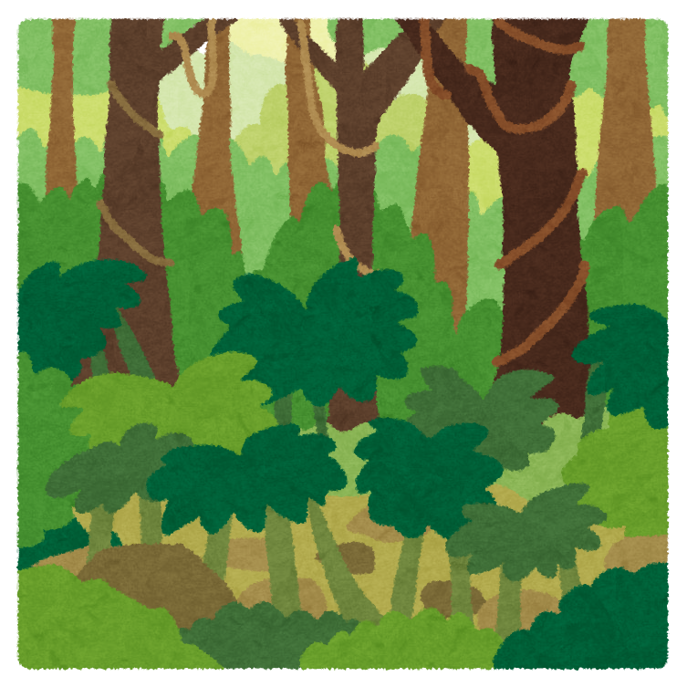 mori_jungle.png
