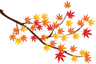 紅葉2.png