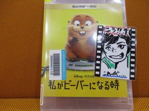 IMG_5715.JPG