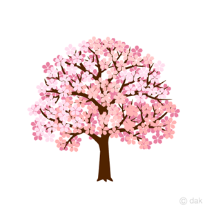 桜.png