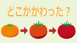 あは体験.png